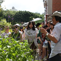 邹君玮老师东海植物介绍与植栽设计