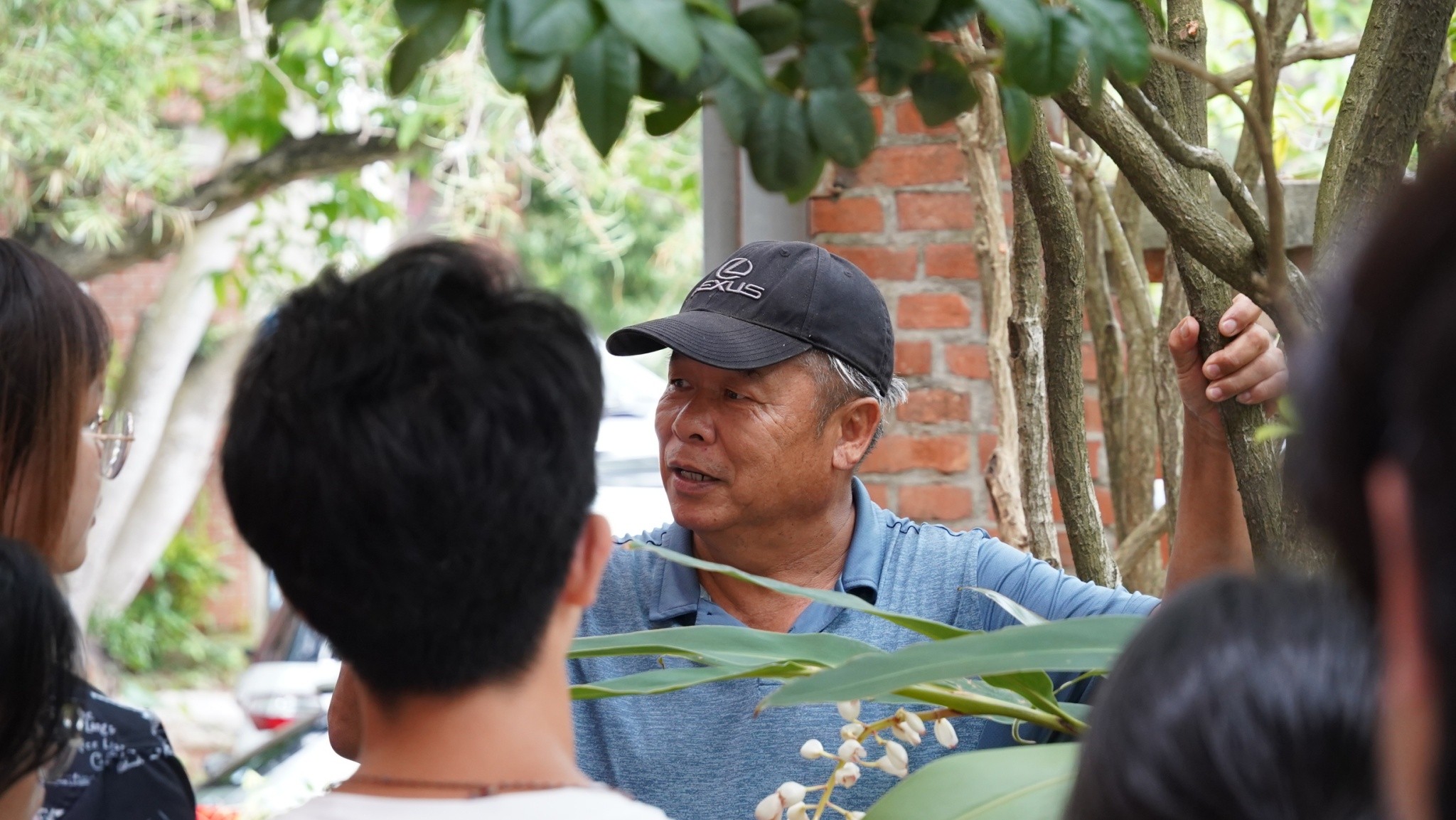 這是一張圖片 這是一張圖片