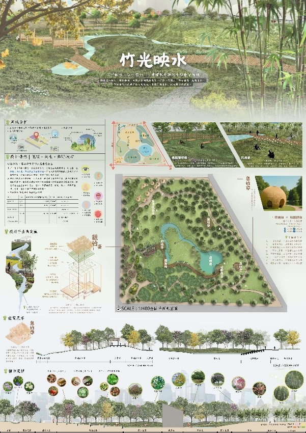 优选作品：「竹光映水」